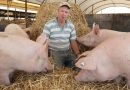 Well known Victorian producer invests in state of the art farrowing sheds