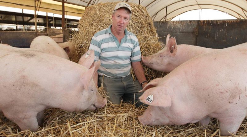 Well known Victorian producer invests in state of the art farrowing sheds